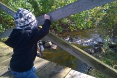 Bridge of Ferson Creek