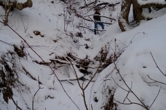Paddock Ravine