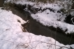 Creek in the winter